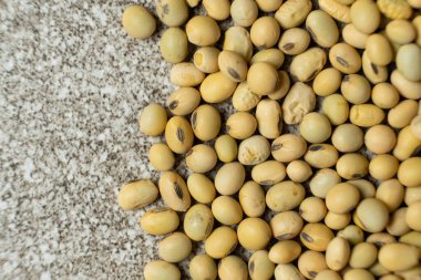 Organik çiğ soya fasulyesi yakın plan, vejetaryen süper yiyecek, en iyi manzara..