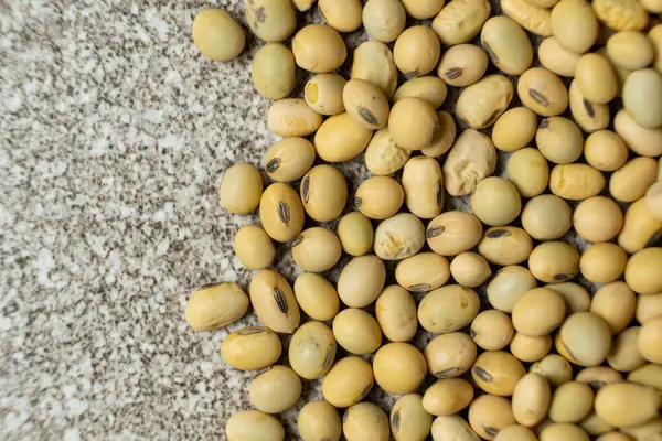 Organik çiğ soya fasulyesi yakın plan, vejetaryen süper yiyecek, en iyi manzara..