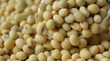 Çiğ soya fasulyesi kaşık makrodan yavaş çekimde dökülüyor.