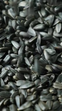 Macro Siyah Kabuksuz Ayçiçeği Tohumları Yavaş Hareket Dikey Dökülüyor.