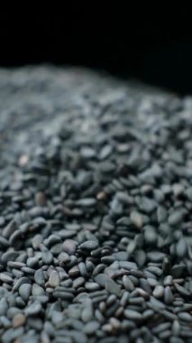 Siyah Susam Kaşıktan Dökülüyor Yakın Çekim Yavaş Çekim Dikey