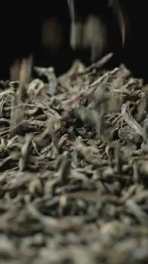 Siyah büyük yaprak, Seylan çayı, dikey ağır çekim..