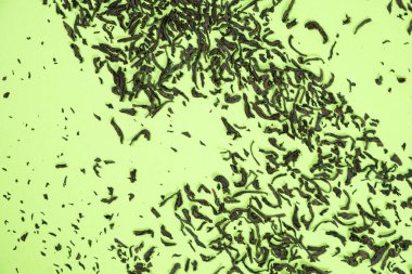 Yeşil arkaplan görünümlü siyah yapraklı çay yaprakları.