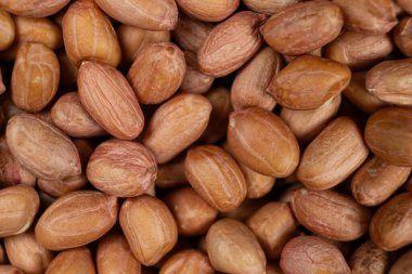 Yukarıdan ham kahverengi fıstık makro görünümü.