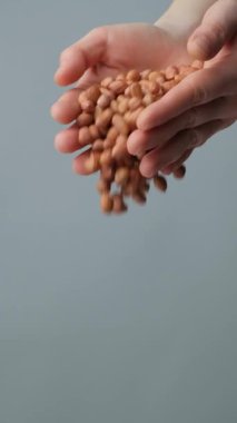 Eller kahverengi yerfıstığı çekirdeklerini yakın çekim, dikey yavaş çekim.