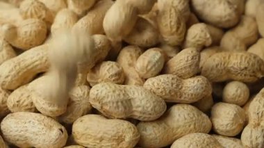 Shell Pour 'daki Tüm Çiğ Fıstık Yavaş Çekim Yakın Çekim.