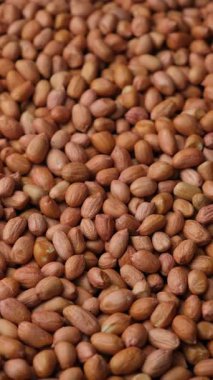 Premium Kalite Çiğ Doğal Kabuksuz Kahverengi Fıstık. Dikey Döndür.