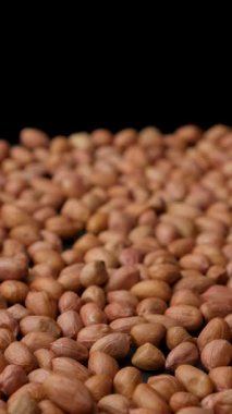 Kaliteli Kalite Ham Doğal Kahverengi Fıstık Kabuksuz Dikey Döndürme.