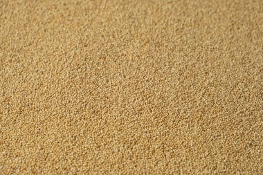 Organik Pişmemiş Amaranth Yakın Çekim Üst Görünümü