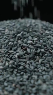 Çiğ siyah susam tohumları makro dökülür, dikey yavaş çekim.