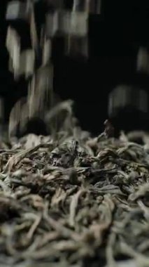Siyah büyük yaprak, Seylan çayı, dikey ağır çekim..