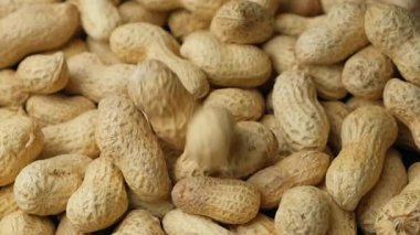 Shell Pour 'daki Tüm Çiğ Fıstık Yavaş Çekim Yakın Çekim.