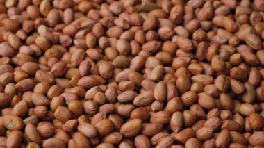 Kaliteli Kalite Ham Doğal Kabuksuz Kahverengi Fıstık Döndürme.