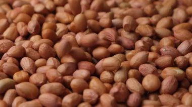 Çiğ, kurutulmuş fıstık çekirdekleri dökülüyor, yakın çekim, yavaş çekim..