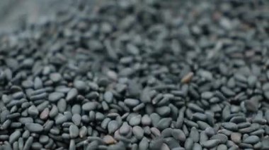 Çiğ siyah susam tohumları makro, yavaş çekim dökülür..