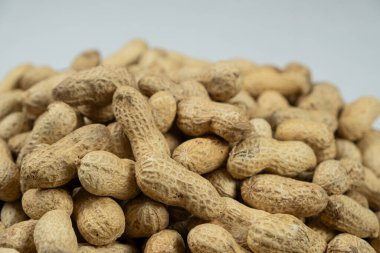 Shell Close-Up 'ta Tüm Çiğ Fıstık.