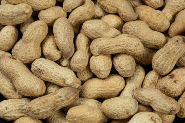 Shell Close-Up 'ta Tüm Çiğ Fıstık.