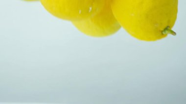 Makro su manzarasında yüzen taze limonlar..