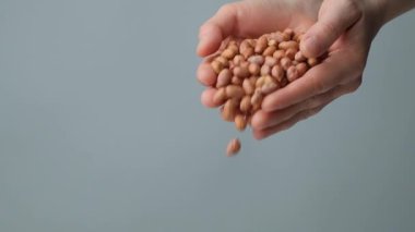 Eller kahverengi fıstık çekirdeklerini yakın çekim, yavaş çekim, metin için boşluk.