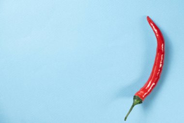 Metin için mavi arkaplan fotokopi alanı üzerinde bir sıcak kırmızı biber.