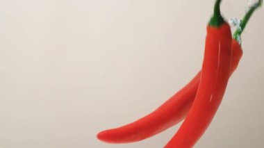 Chili Peppers kabarcıklarla suya gömülüyor..