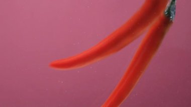 Chili Peppers kabarcıklarla suya gömülüyor..