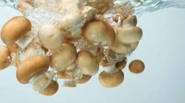 Kahverengi Mantar Şampiyonu Cremini Yavaş Suya Batıyor.