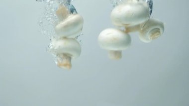 Beyaz taze mantar grubu şampiyonları yavaş çekimde suya daldırıyor..