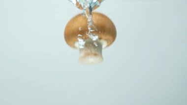 Makro, kahverengi mantarı suya batırıyor, ağır çekimde..