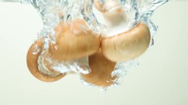 Organik Kahverengi Düğme Mantarları Hava kabarcıklarıyla suya batırıldı