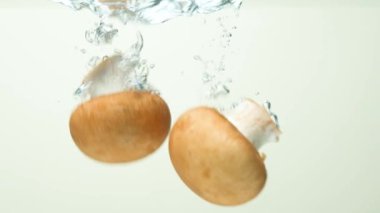 Taze yıkanmış Cremini Buton Mantarları Yavaş Çekimde Suya Düşüyor