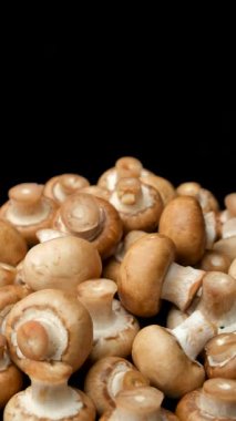 Kahverengi şampiyonlar mantarlar Cremini Baby Bella makro yavaş dönüş, siyah arkaplan, dikey video.