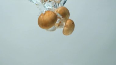 Kahverengi Mantar Şampiyonu Cremini Yavaş Suya Batıyor.