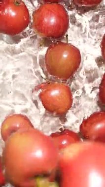 Yavaş hareket eden elmalar suya düşüyor. Su sıçraması, üst görünüm dikey.