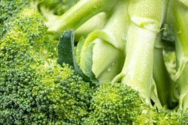 Makro Sağlıklı Organik Brokoli Çiçekleri.