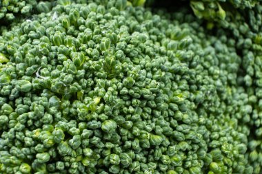 Ayrıntılı Dokusu Olan Yeşil Brokoli Başı.