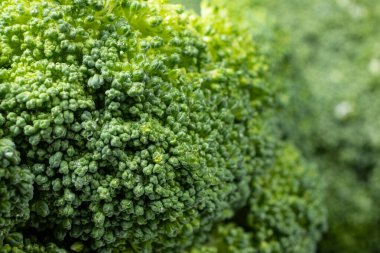 Makro Sağlıklı Organik Brokoli Çiçekleri.