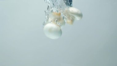 Organik Mantarlar Dinamik Su Sıçratmasıyla Su Altında Düşüyor