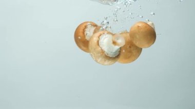 Kahverengi Cremini Bebek Bella Suda Mantar, Bol Baloncuk, Yavaş Hareket.