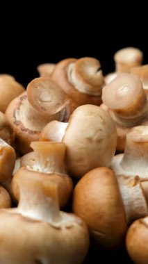 Kahverengi şampiyonlar mantarlar Cremini Baby Bella makro yavaş dönüş, siyah arkaplan, dikey video.