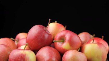 Siyah arka planda taze organik kırmızı elmalar grubu..