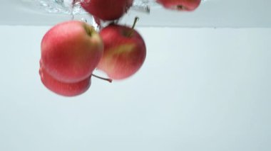 Sulu kırmızı elmalar suya düşüyor. Yavaş Hareket Sıçraması