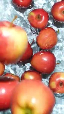 Bütün kırmızı elmalar suya düşüyor, suya sıçrıyor, yavaş çekim dikey.