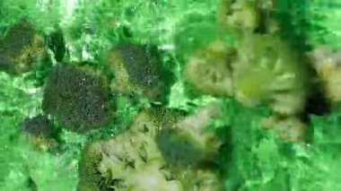 Taze Organik Brokoli, Yavaş Suya Düşüyor.