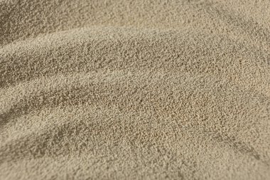 Yemek Pişirmek İçin Anında Kuru Mayanın Yakın Görüntüsü