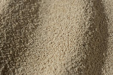 Kuru Etkin Maya 'nın Makro Arkaplanı.