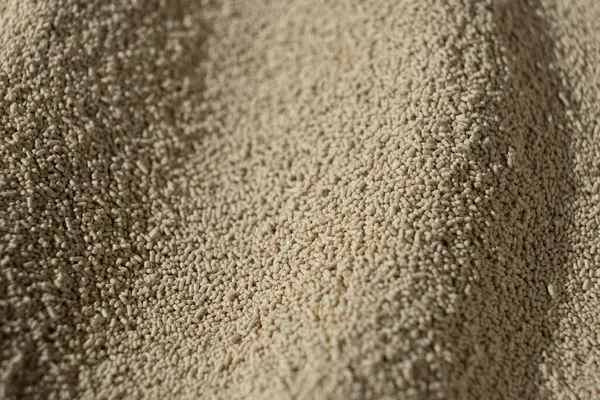 Kuru Etkin Maya 'nın Makro Arkaplanı.