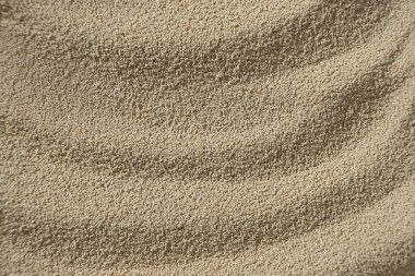 Yemek Pişirmek İçin Anında Kuru Mayanın Yakın Görüntüsü