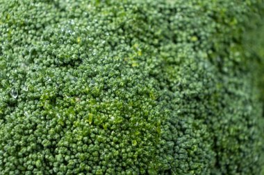 Zengin Ayrıntılı Canlı Yeşil Brokoli Baş Yakın plan