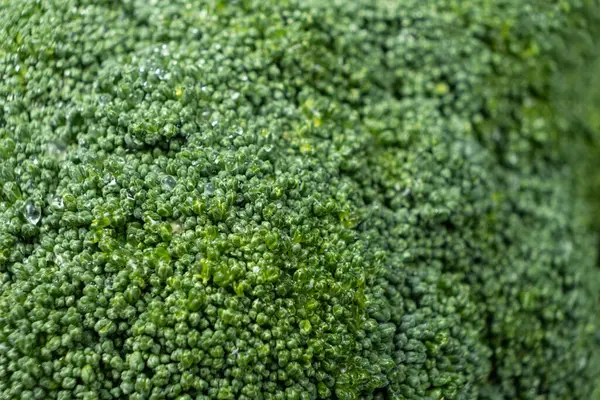 Zengin Ayrıntılı Canlı Yeşil Brokoli Baş Yakın plan